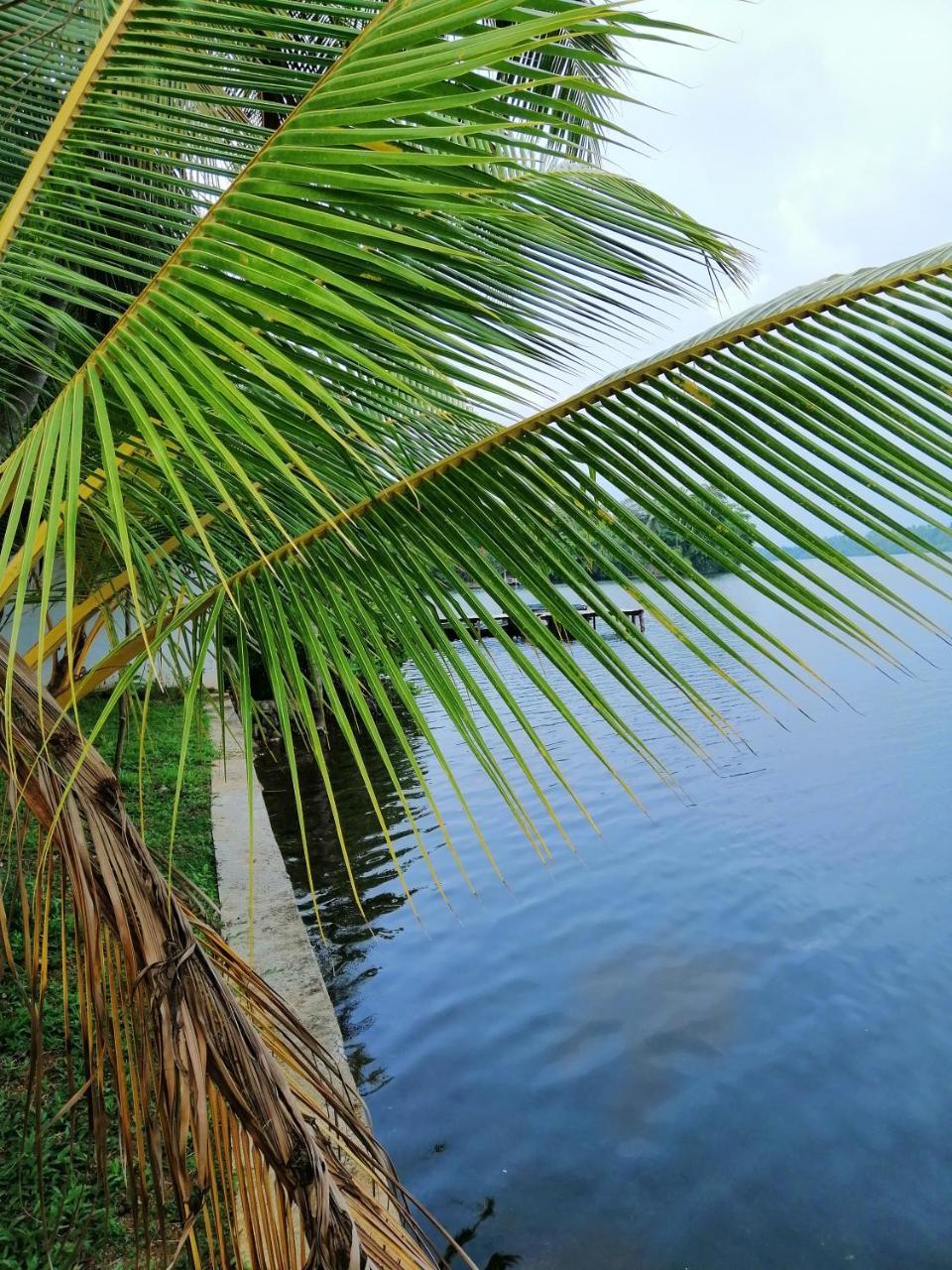 Hikka Lagoon Hikkaduwa Extérieur photo